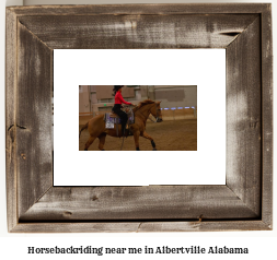 horseback riding near me in Albertville, Alabama